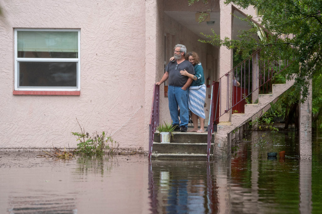 Moldzyme: Your Ultimate Solution for Hurricane Idalia Post-Storm Mold Cleanup