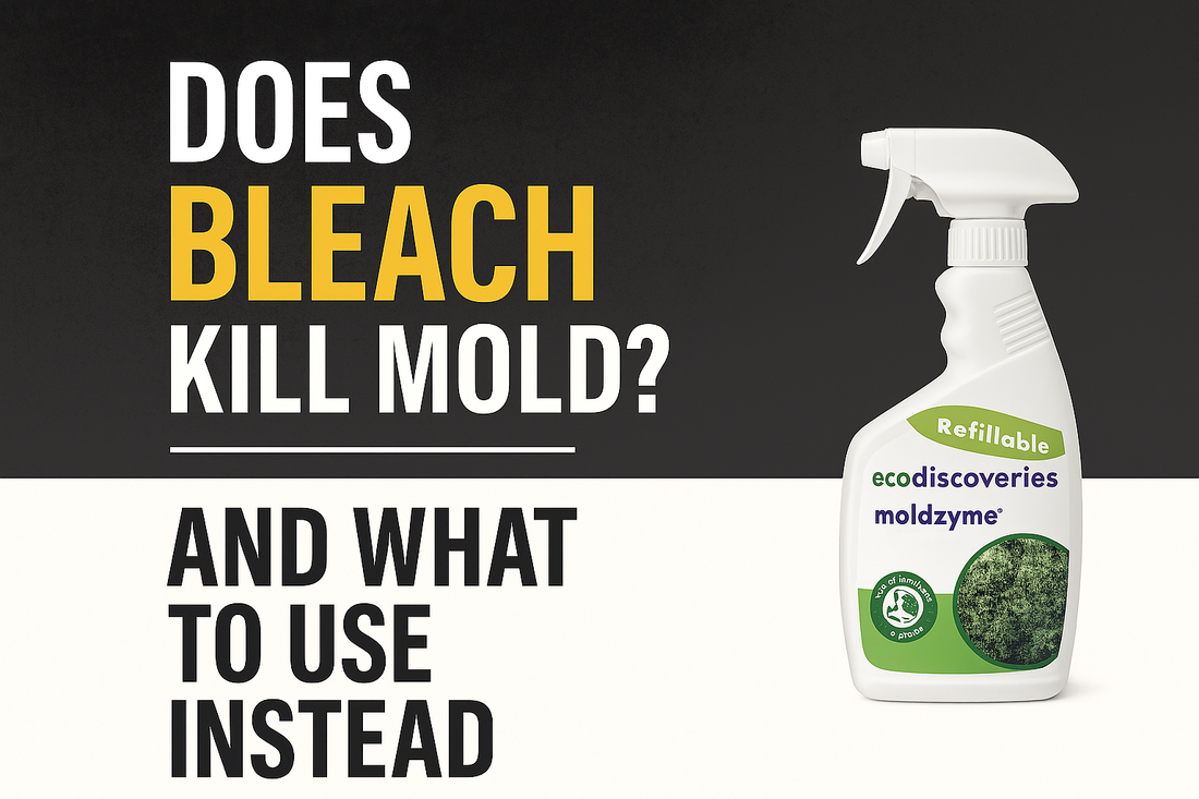 Think Bleach Solves Mold? Think Again.