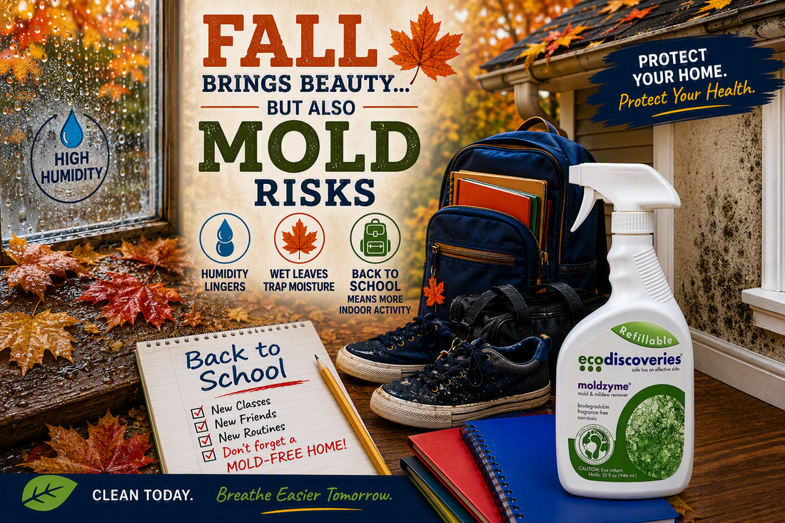 Fall, Back-to-School, and Mold: Why This Season Creates the Perfect Storm for Mold Growth