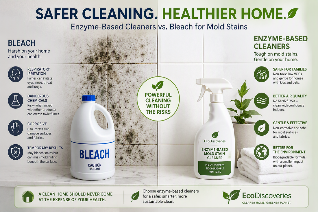 Mold Stains at Home: Why Enzyme-Based Cleaners Are a Safer Alternative to Bleach