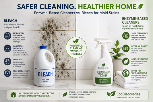 Mold Stains at Home: Why Enzyme-Based Cleaners Are a Safer Alternative to Bleach