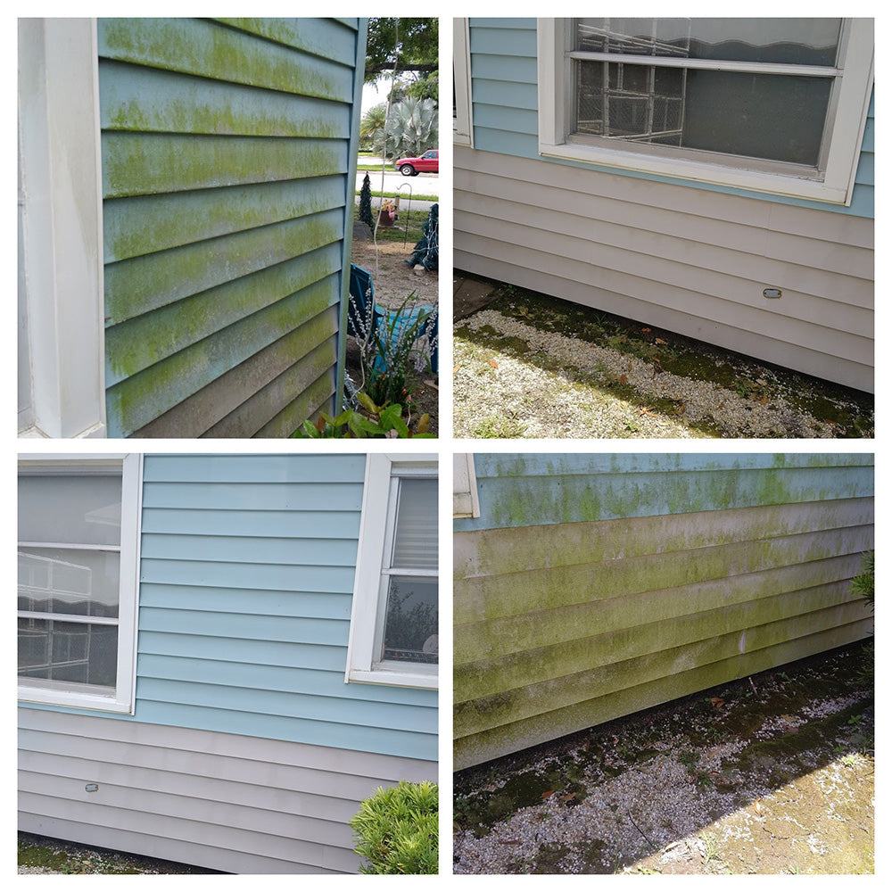 EcoDiscoveries Moldzyme: Eco-Friendly Mold Stain Removal for Homes and Businesses