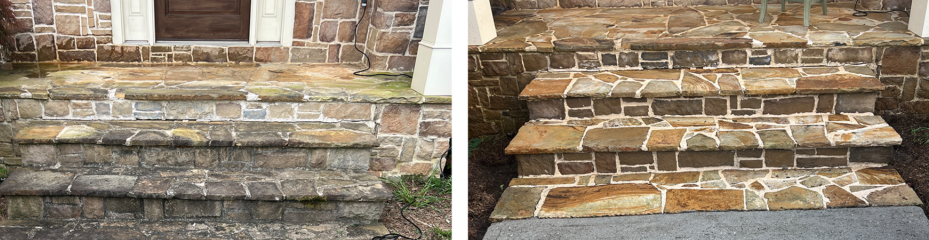 HOW TO REMOVE MOLD AND MILDEW STAINS AND ODOR